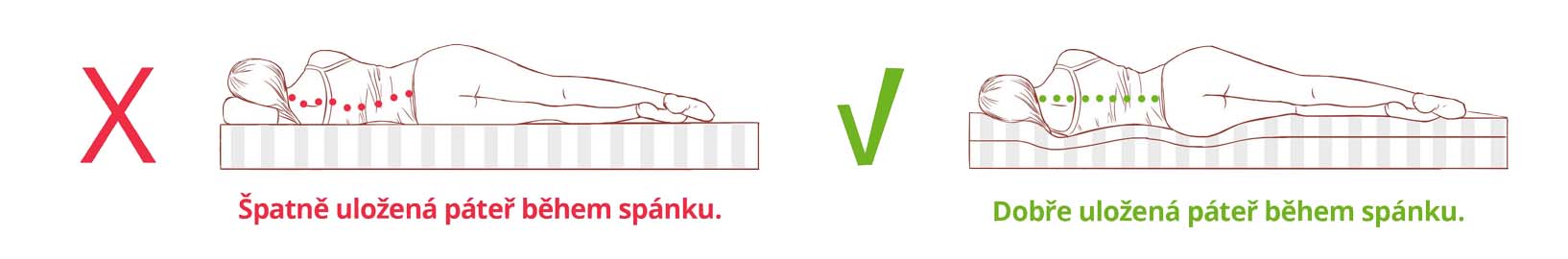 držení páteře podélný nákres II